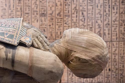 Egypte huit momies découvertes dans une tombe de l époque des