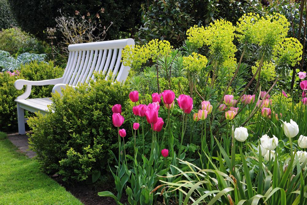 jardin a l'anglaise