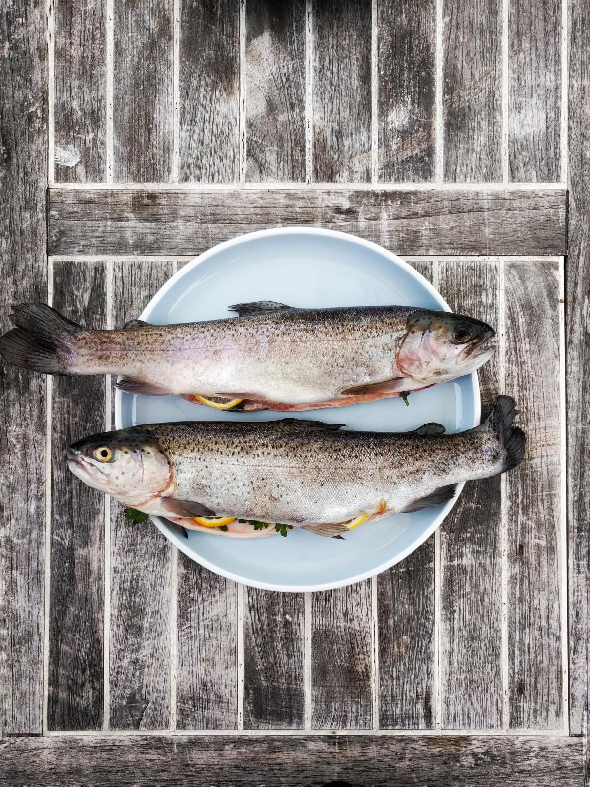 poissons crus dans une assiette