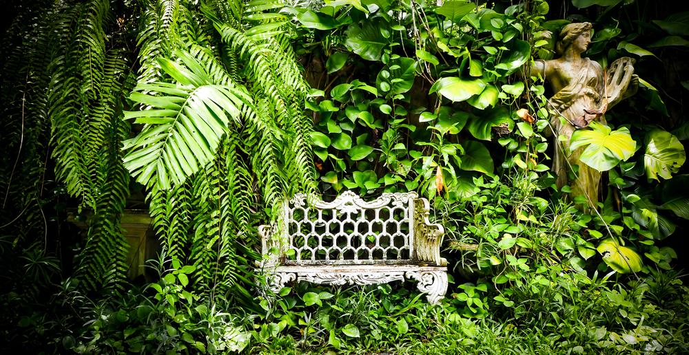 banc forêt verdure