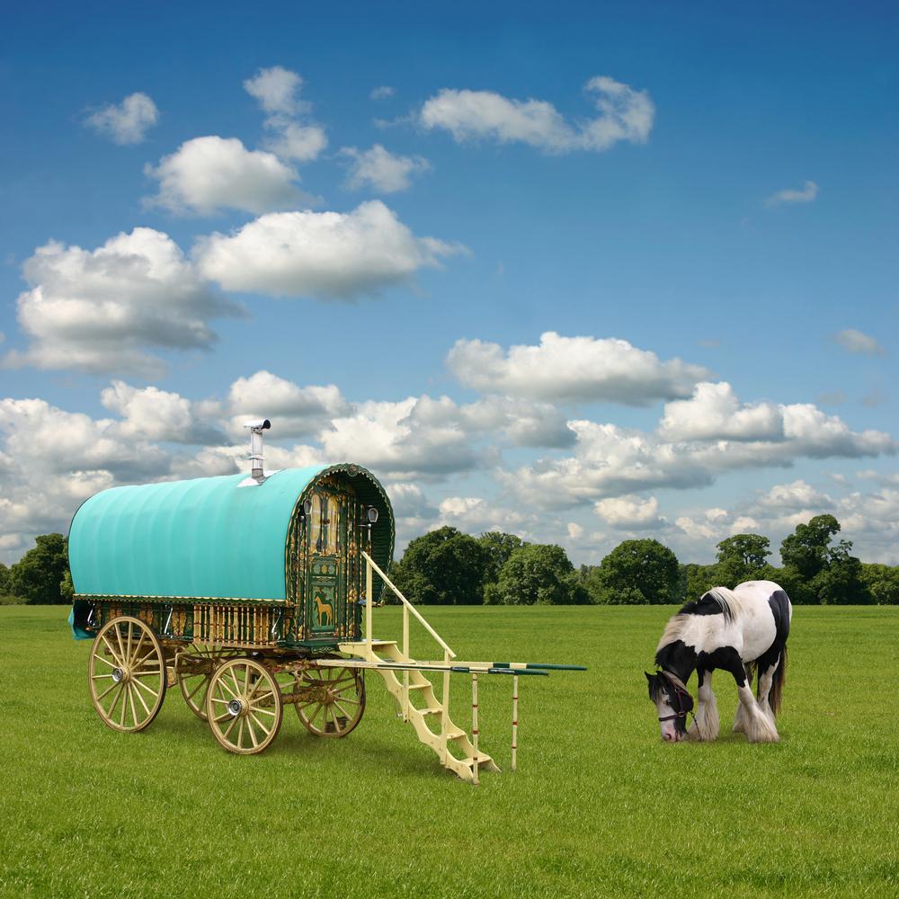 roulotte dans un champs avec des vaches