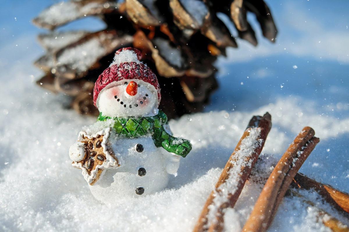 Envie de passer Noël à la neige ? Nos idées pour des vacances réussies