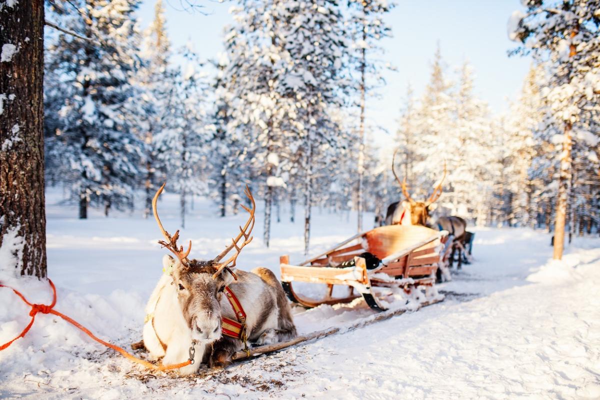 Organisez un Noël inoubliable : la Laponie sous toutes ses coutures 