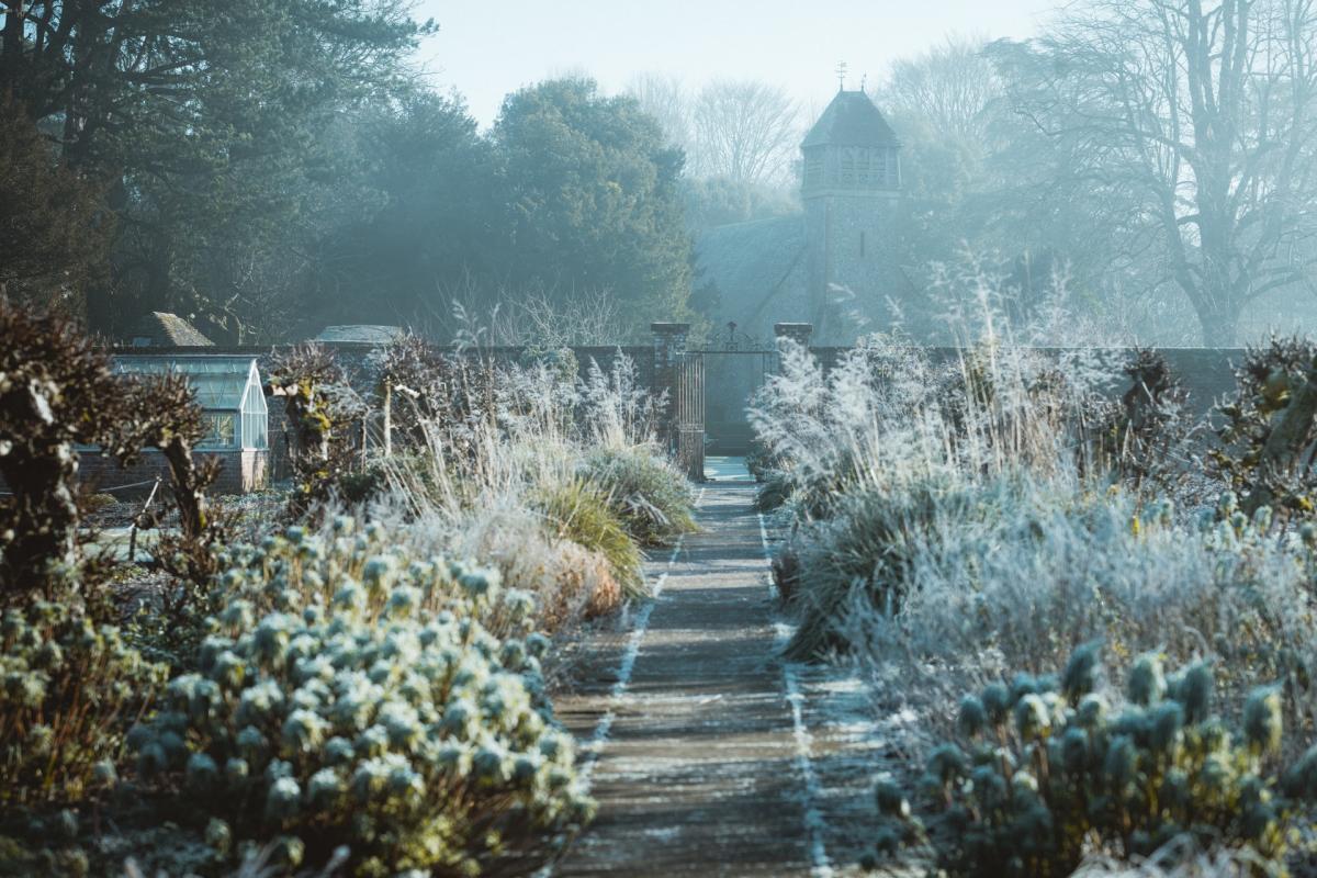 Anticipez l'hiver, protégez votre jardin !