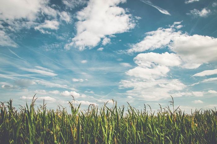 Quand la France est sous les nuages : apprenons à les reconnaitre