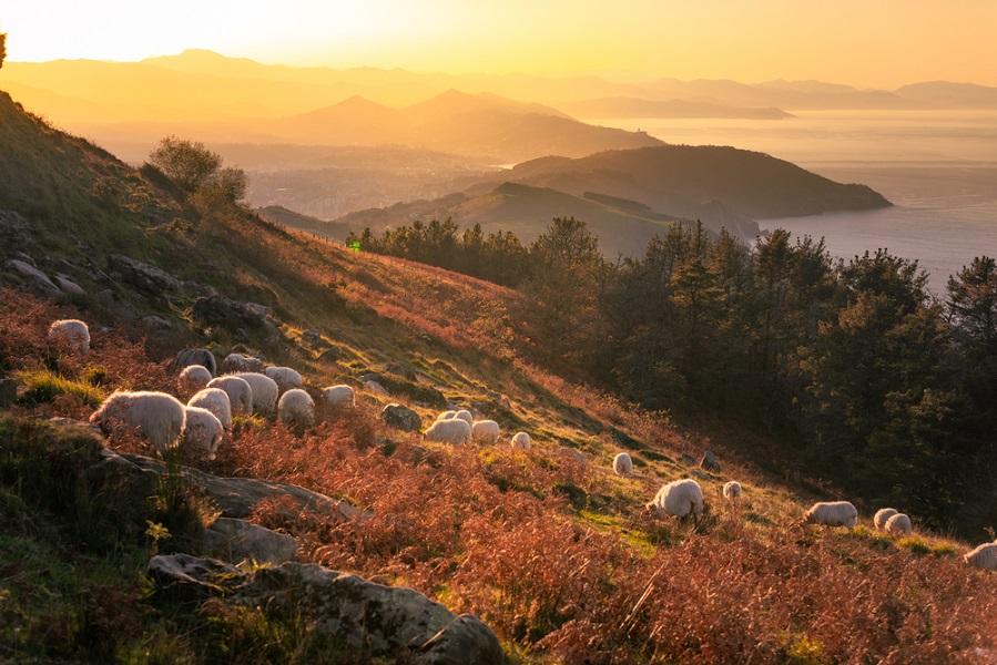 L'itinéraire en France de juin – Les mystères du Pays Basque