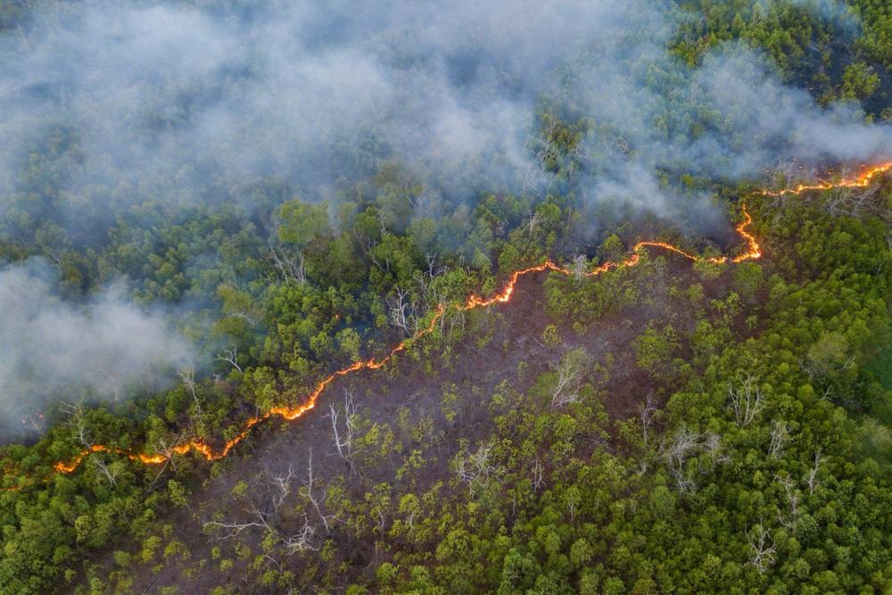 Feux de forêt : encore 18 secteurs en risque très élevé en France