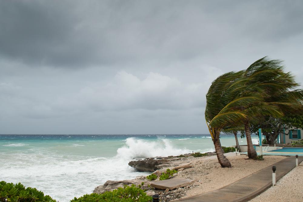 Ouragan Freddy : le « monstre » laisse plusieurs victimes derrière lui à Madagascar 