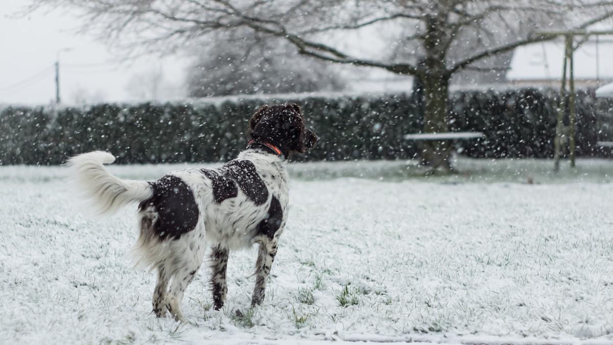 Les Hauts de France en vigilance orange neige-verglas pour la nuit du mardi 7 mars