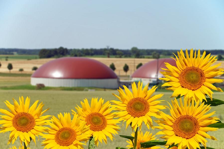 Quand la France mise sur la biométhanisation