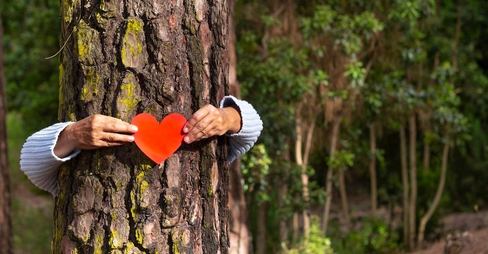 Ces gestes pour protéger la forêt en été et sur le long terme