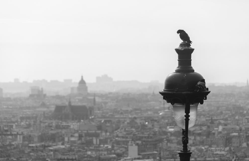 Une ville en France : Colombes