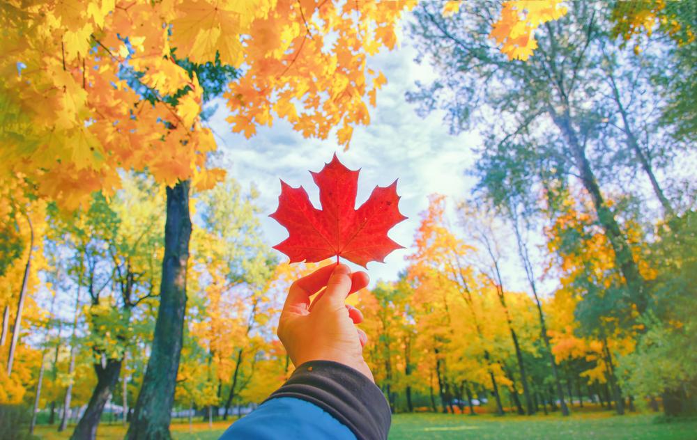 Automne au Québec : un itinéraire à couper le souffle