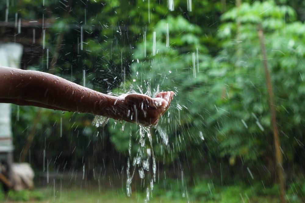 Ecologie : comment récupérer efficacement l'eau de pluie