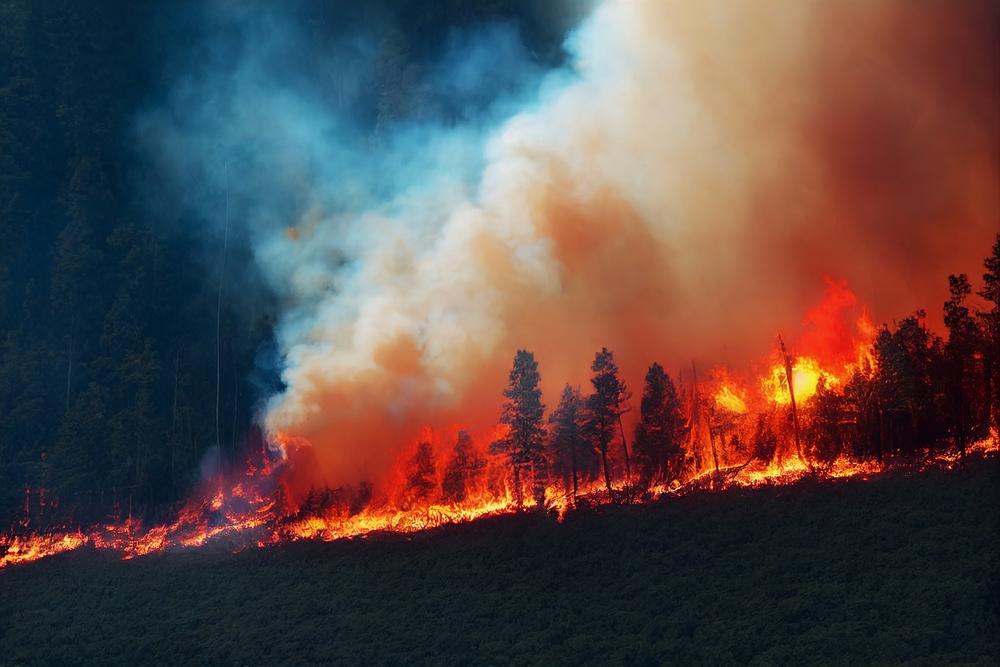 Canada : un possible mégafeu fait fuir 9 000 personnes