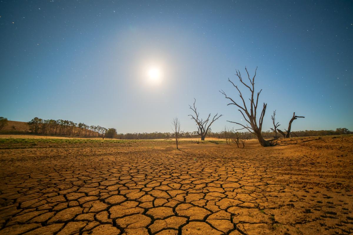 terre sèche et soleil