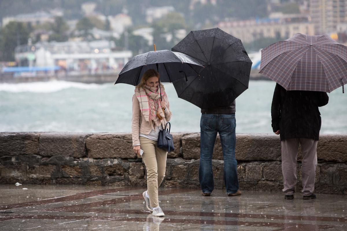 personnes avec des parapluies devant une rivière