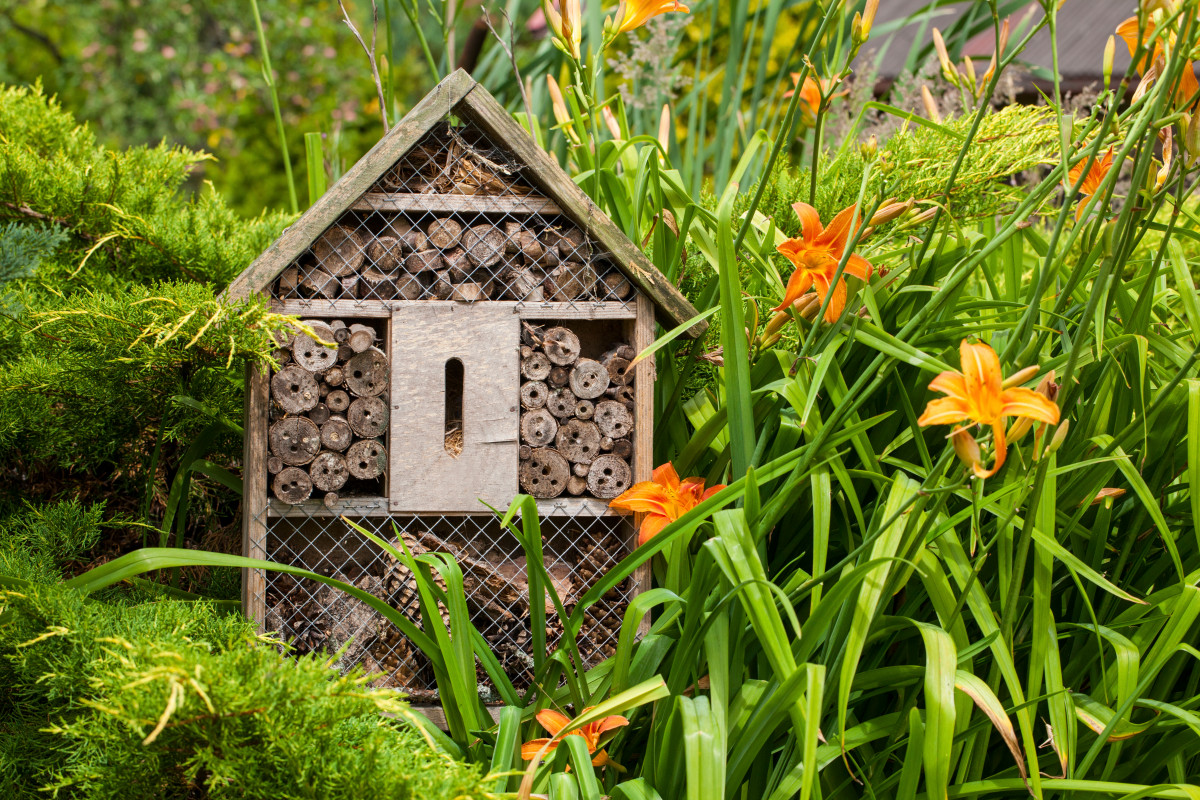 Installer un hôtel à insectes dans son jardin : un geste utile avant l’hiver