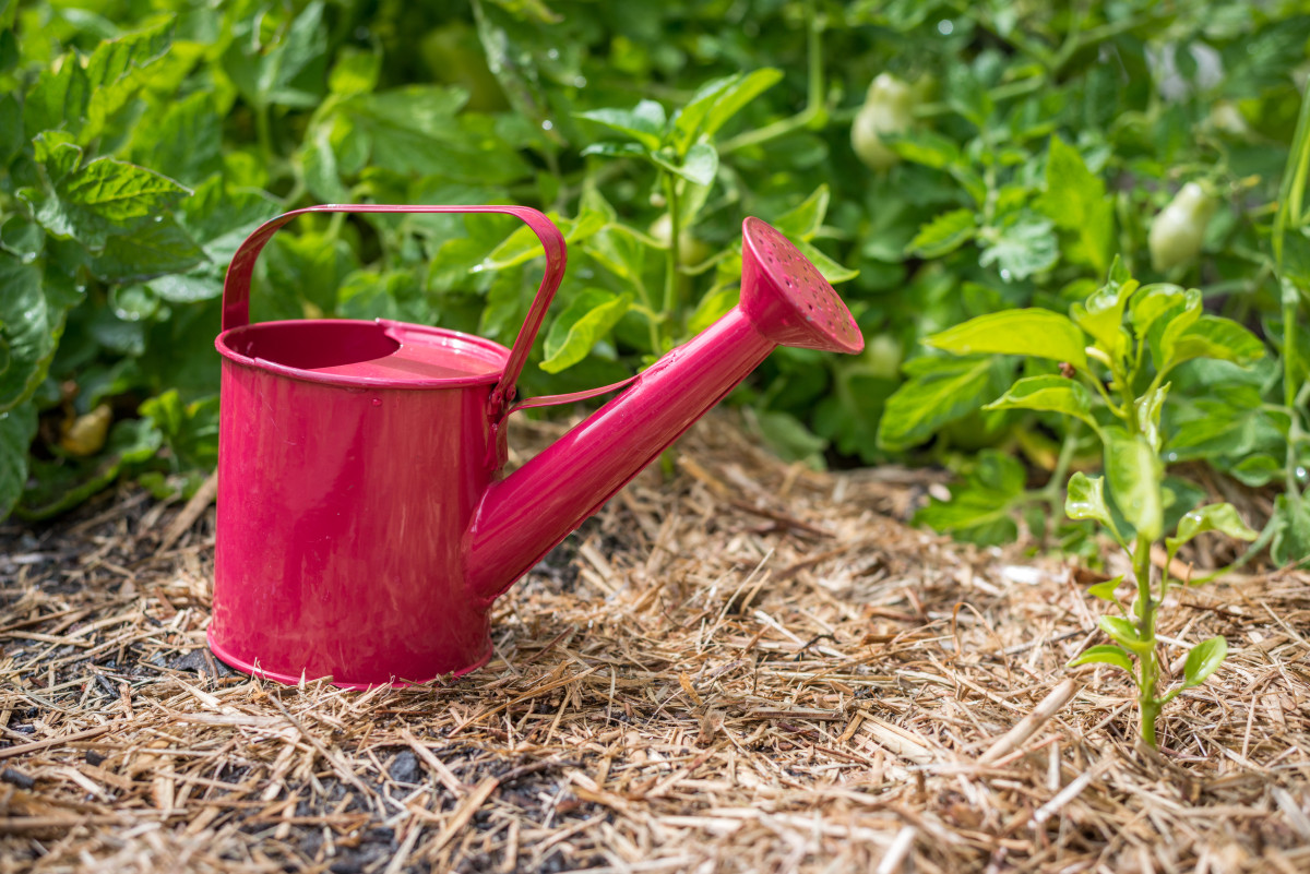 Préparer le jardin pour le printemps sans produits chimiques : conseils pour une fertilisation naturelle.