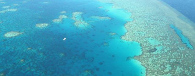 Plongez au cur de la Grande barrière de Corail