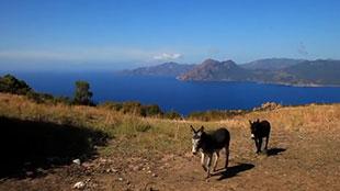 Découvrez le Golfe de Valinco en Corse