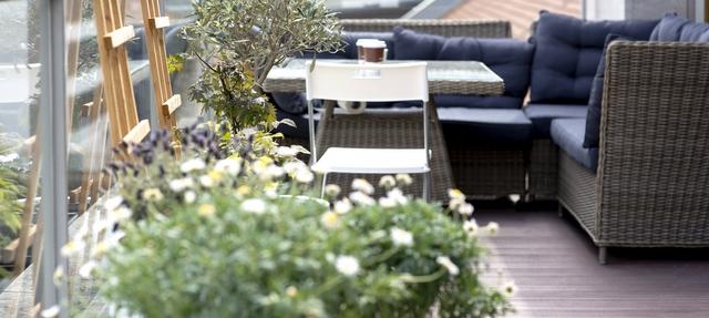 terrasse plantes