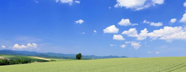 Un ciel ensoleillé pour le début de semaine