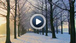 Les paysages enneigés de Belgique