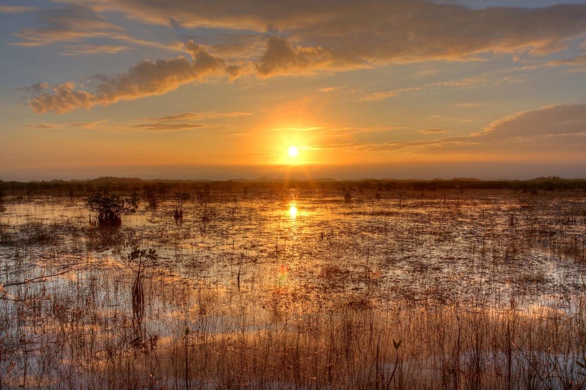 everglade floride protection parc naturel