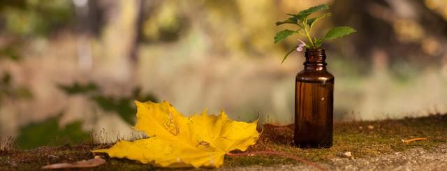 automne naturopathie