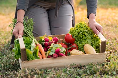 De nombreuses fermes Bio font leur apparition (c) Shutterstock