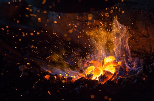 Le charbon vert pour remplacer le charbon de bois