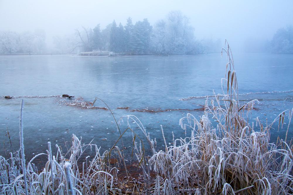 lac gelé