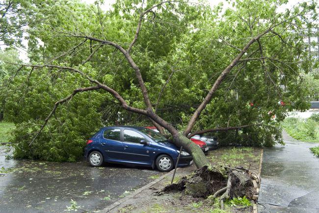 12 personnes tuées à la suite de la tempête Christian