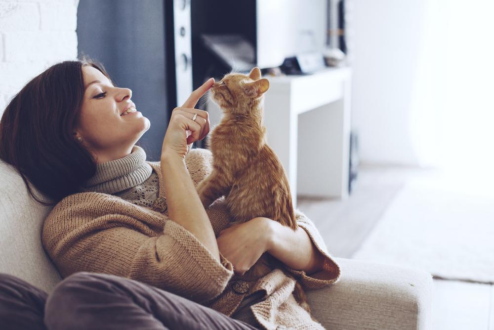 le chat, meilleur ami de la femme