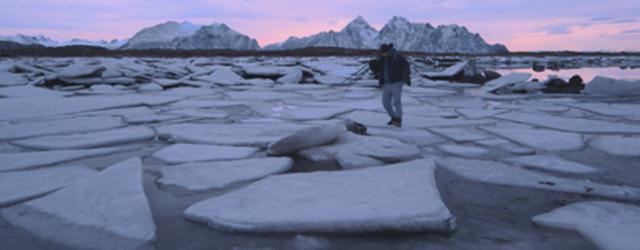 Voyage au cur des îles Lofoten