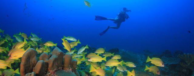 Grande barrière de Corail en Australie filmée en 360°