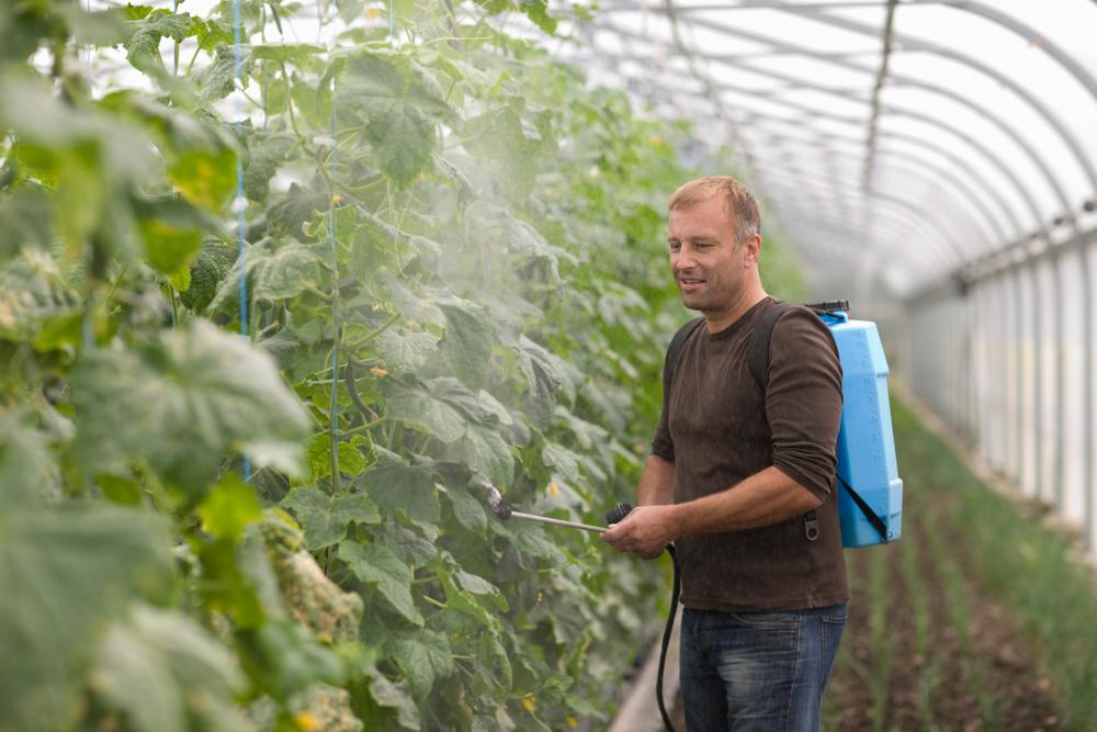 L'association a analysé 19 fruits et 33 légumes non bio.