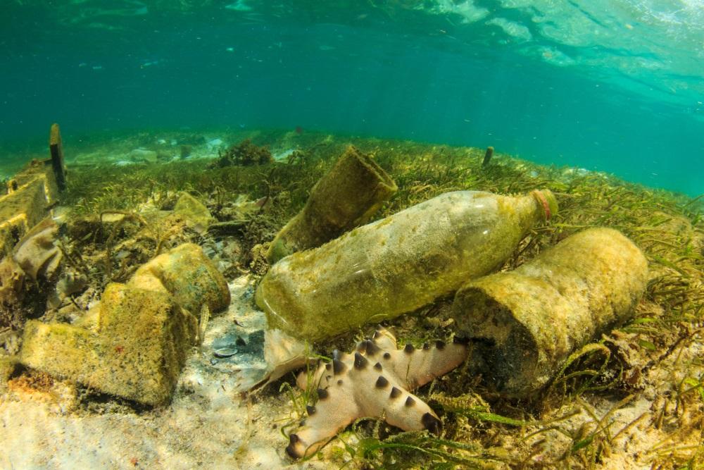 270 000 tonnes de plastique flottent dans les océans.