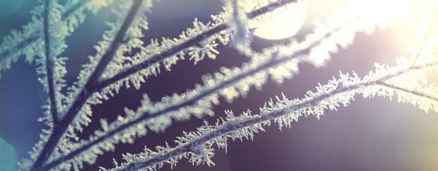 Vague de froid aux États-Unis