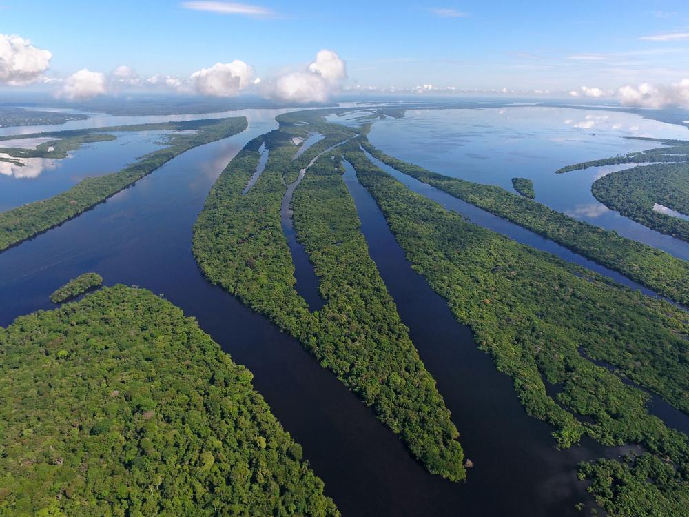 L'Amazonie cache encore bien des mystères