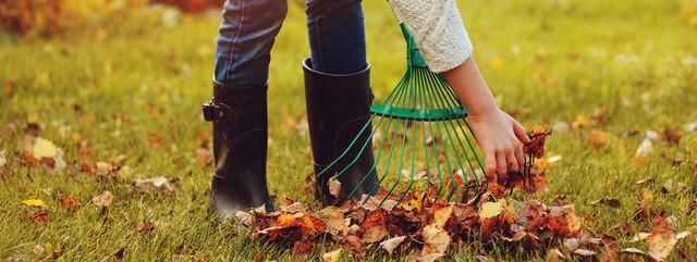 jardin en automne