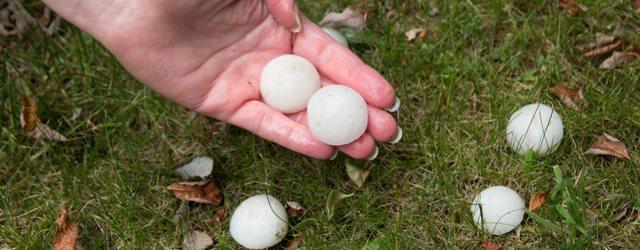 Orage dans les Landes : les images spectaculaires 