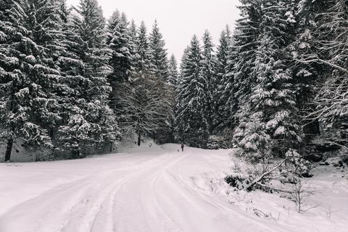 Le plan grand froid déclenché dans plusieurs régions (c) Shutterstock