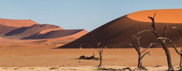 Voyage magique en Namibie