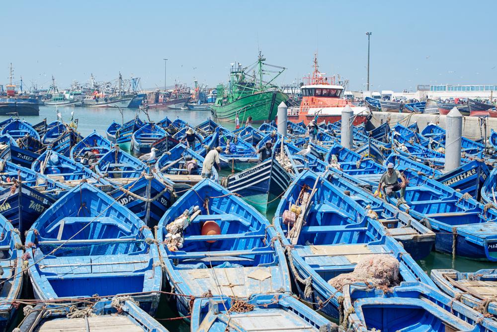 91 millions de tonnes de poissons ont été pêchées en 2016 dans le monde.