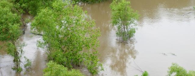 Inondation : Chennai toujours sous les eaux