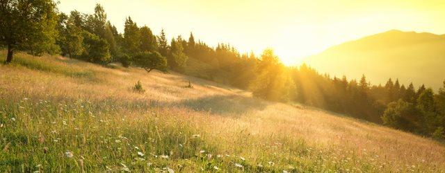 Retour du soleil mercredi ! 