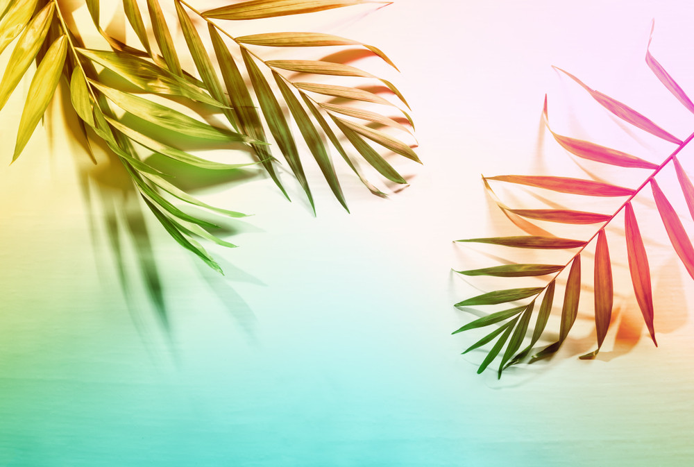 été tropique couleurs