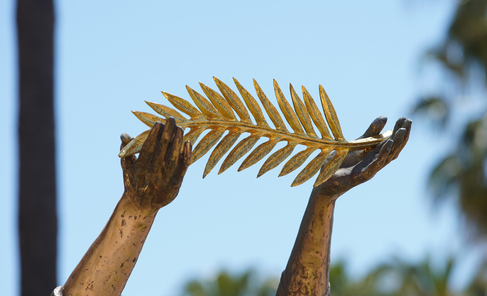 palme d'or
